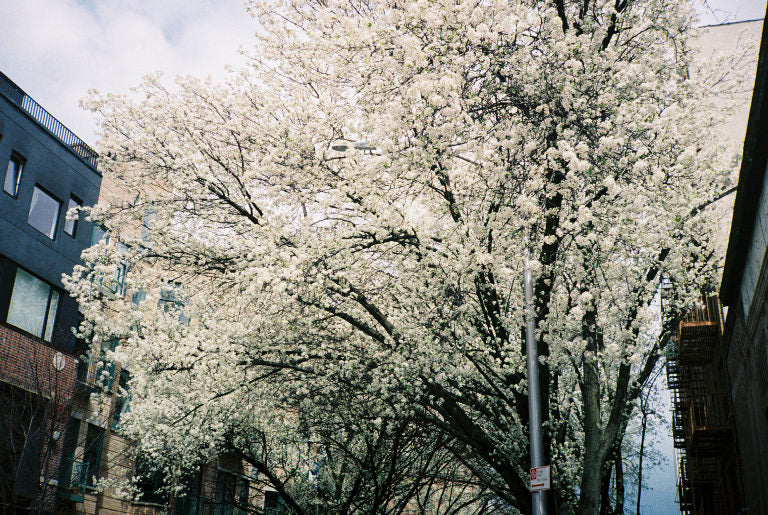 Copy of S341000-R2-008-2A.jpg